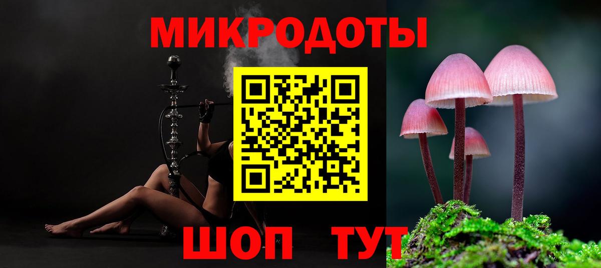 Псилоцибиновые грибы GOLDEN TEACHER  Вход с VPN  Кудрово  Псилоцибиновые грибы ЛСД 
